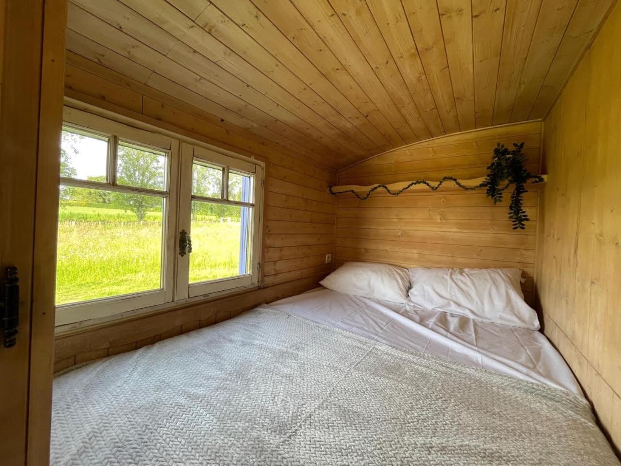 Les Logements Insolites De La Base Nautique Verneuil  エクステリア 写真